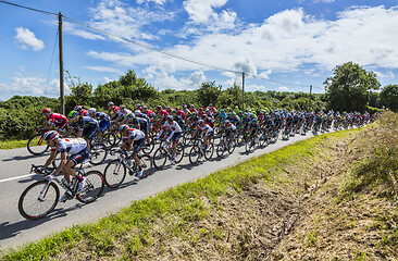 Image showing The Peloton - Tour de France 2016