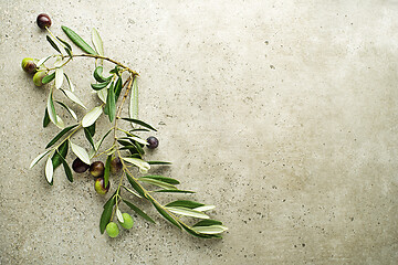 Image showing Olive oil 