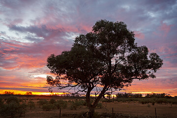 Image showing Outback sunrise landscape Australia