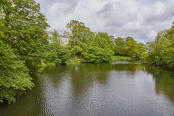 Image showing Green trees in a park