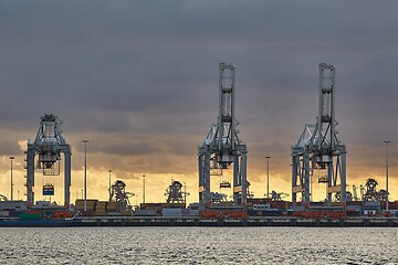 Image showing Container Dock in Rotterdam