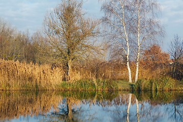 Image showing Water surface with trees