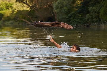 Image showing Swimming in river throwing log