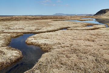 Image showing Little Creek Flowing