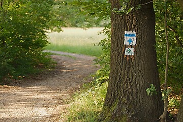 Image showing Hiking trail signs