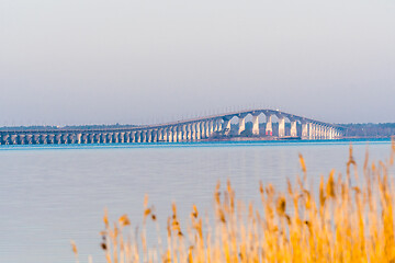 Image showing The Swedish Oland bridge in morning sunshine