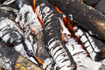 Image showing coals and burned tree