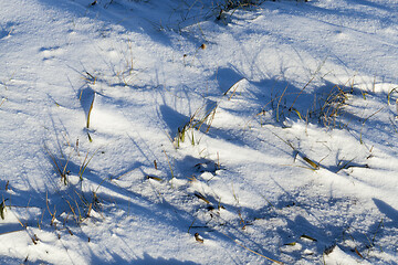 Image showing Snowy surface, winter