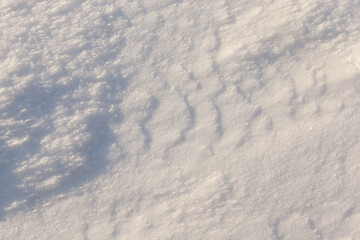 Image showing Snow drifts in winter