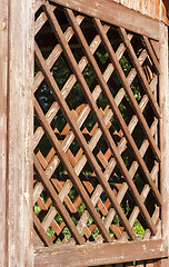 Image showing wooden lattice arbor