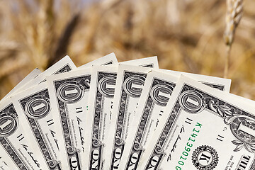 Image showing wheat and money