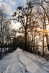 Image showing countryside road