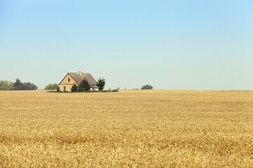 Image showing The house is in the field