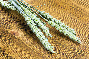 Image showing green triticale