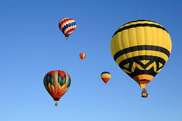 Image showing Hot air balloons festival