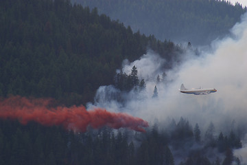 Image showing Forest Fire Fighting A