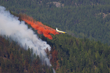 Image showing Forest Fire Fighting B