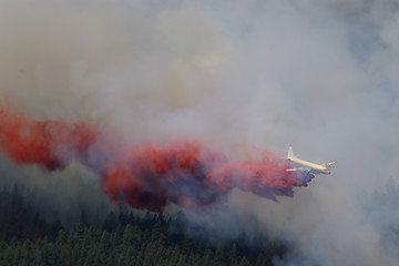 Image showing Forest Fire Fighting C