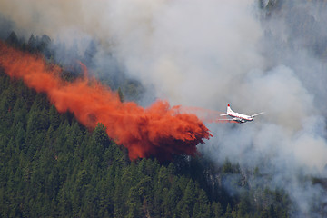 Image showing Forest Fire Fighting D