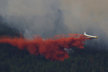 Image showing Forest Fire Fighting E