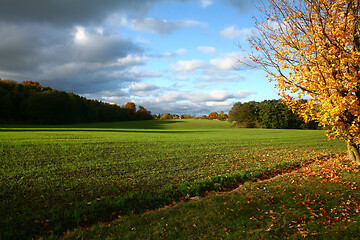 Image showing autumn in Denmark