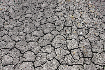 Image showing Dried earth