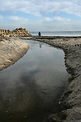 Image showing Stones at the beach in Denmark Scandinavia