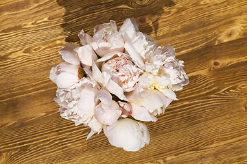 Image showing Pink peony flower