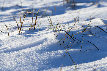 Image showing Snow-covered surface