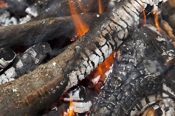 Image showing Fire on logs