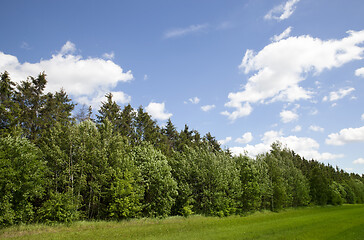 Image showing Nature landscape