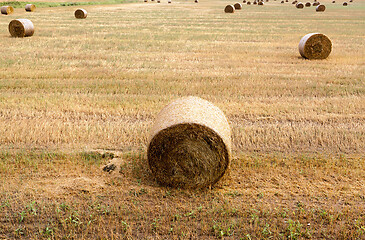 Image showing stack of straw lying