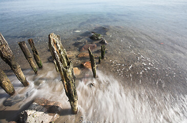 Image showing Beach 