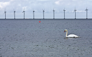 Image showing Offshore wind power in the oeresund chanel 