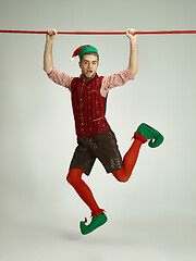 Image showing friendly man dressed like a funny gnome posing on gray background