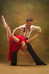 Image showing Flexible young modern dance couple posing in studio.