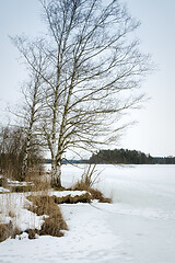 Image showing winter scenery Osterseen