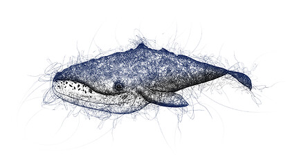 Image showing whale doodle illustration