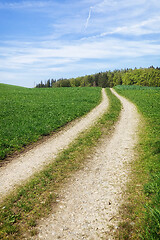 Image showing path in a green meadow nature scenery landscape