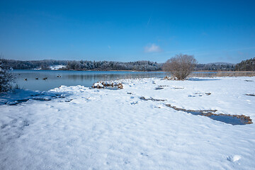 Image showing Lake Osterseen Bavaria Germany winter scenery