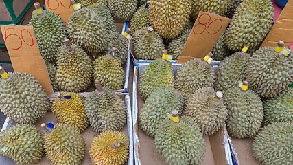 Image showing Bunch of Durian