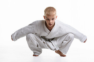 Image showing Martial arts student dressed in a kimono performs a squat