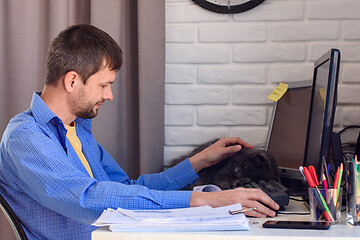 Image showing Self-employed worker working on a remote job stroking a cat