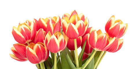 Image showing Red and yellow tulips in a vase