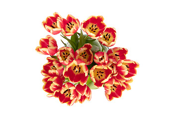 Image showing Red and yellow tulips in a vase