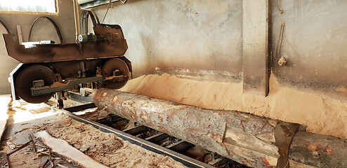 Image showing Sawing timber of machining logs in sawmill 