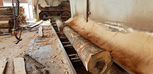 Image showing Sawing timber of machining logs in sawmill 