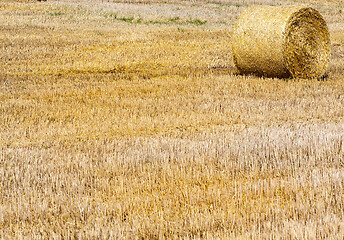 Image showing Pressed straw