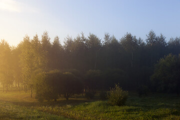 Image showing Summer landscape