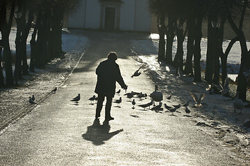 Image showing Man feeding birds 